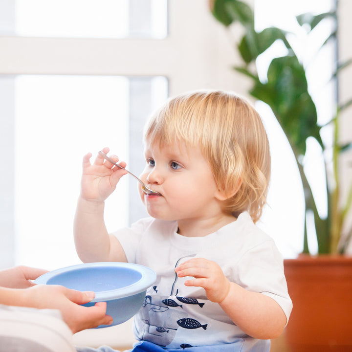 https://cdn.shopify.com/s/files/1/0080/3389/4481/files/baby-bowls-scoopsy-bowl-wean-meister.mp4?13562